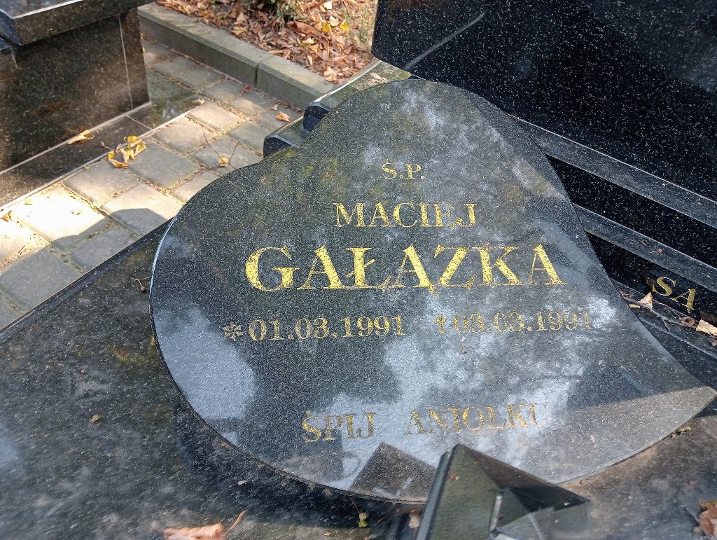 Alfons Gałązka  1938 Janikowo - Grobonet - Wyszukiwarka osób pochowanych